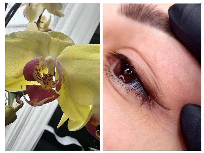Edukacija trajni tuš eyeliner
